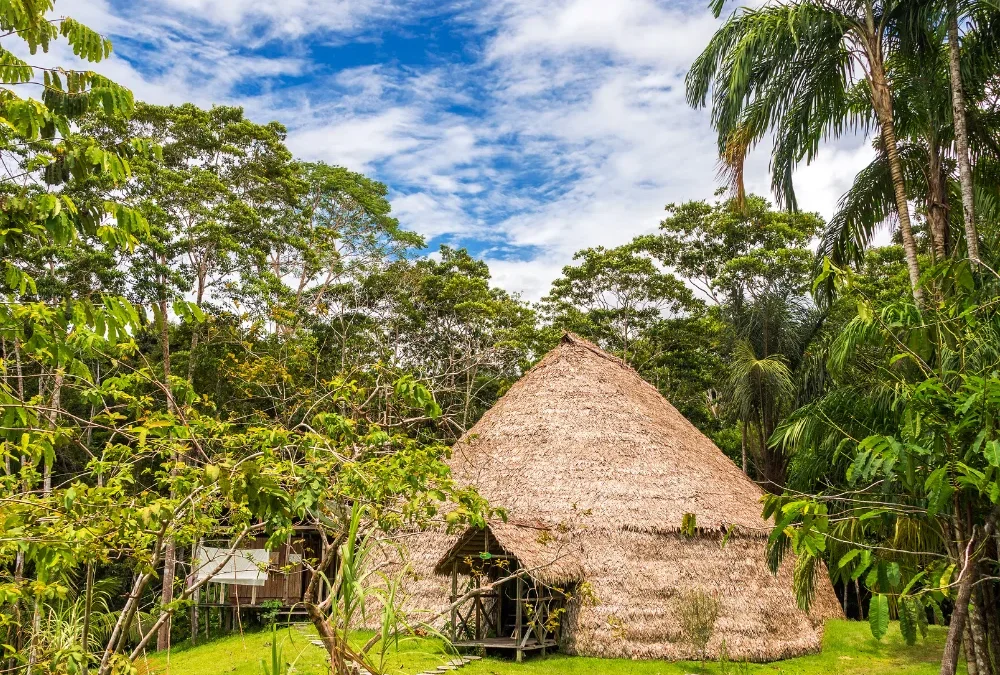 Cuidados y vacunas necesarias antes de visitar la selva peruana